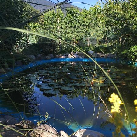 Casa In Koenigs Garten Apartman Intragna Kültér fotó